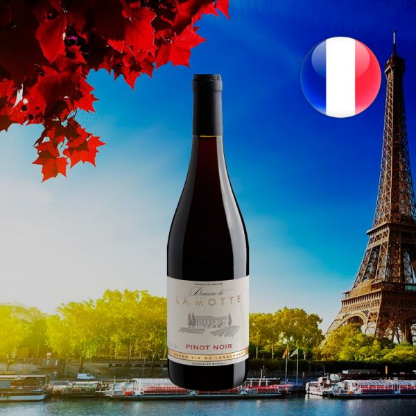 Domaine de La Motte Pinot Noir 2017 Oferta
