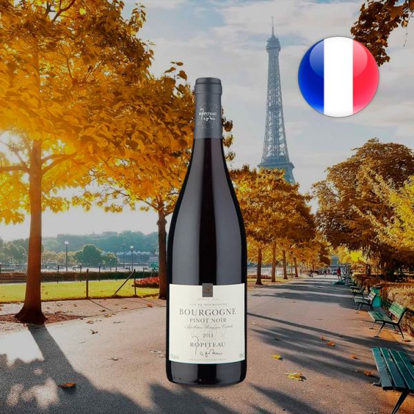 Ropiteau Pinot Noir 2014 Oferta