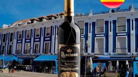 Anciano Gran Reserva 10 years Valdepeñas D.O. 2007 - Oferta