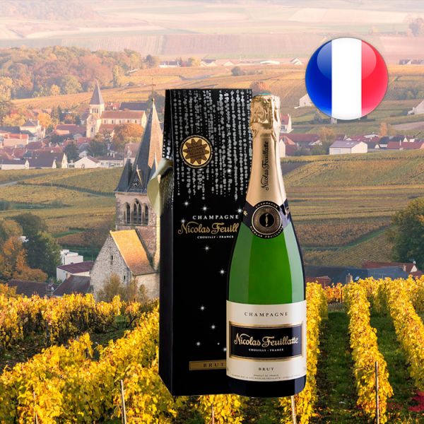 Champagne Nicolas Feuillatte Brut Oferta