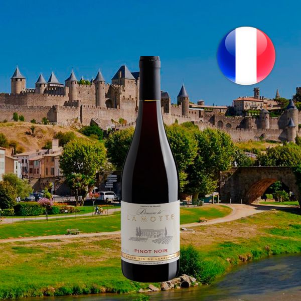 Domaine de La Motte Pinot Noir 2018 Oferta