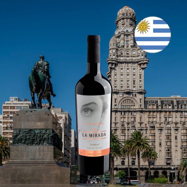 La Mirada Gran Reserva 2017 - Oferta