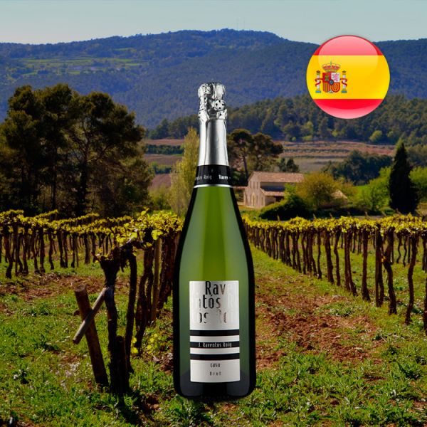 Espumante J. Raventós Roig D.O. Cava Brut - Oferta