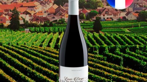 Louis Despierre Bourgogne AOC - Oferta