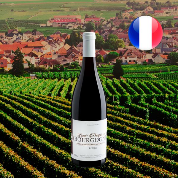 Louis Despierre Bourgogne AOC - Oferta