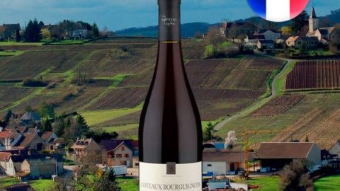 Ropiteau Frères A.O.C. Coteaux Bourguignons 2016 - Oferta