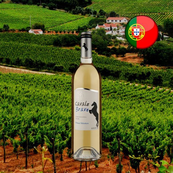 Cavalo Bravo Private Selection Branco 2017 - Oferta