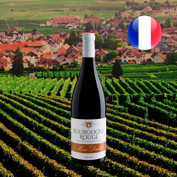 Marc Dudet Bourgogne AOC - Oferta