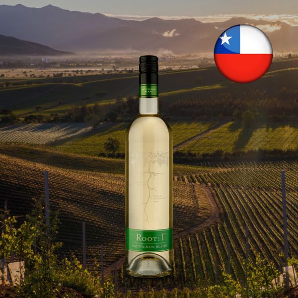 Root: 1 Sauvignon Blanc 2018
