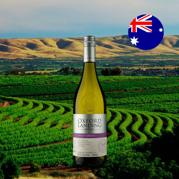 Oxford Landing Estates Pinot Grigio 2017 - Oferta