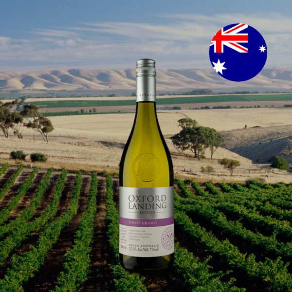 Oxford Landing Estates Pinot Grigio 2018 - Oferta