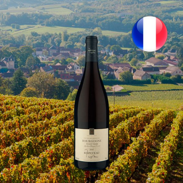 Ropiteau Pinot Noir 2017 - Oferta