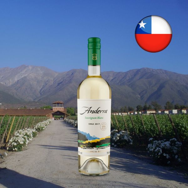 Baron Philippe de Rothschild Anderra Sauvignon Blanc 2017 - Oferta