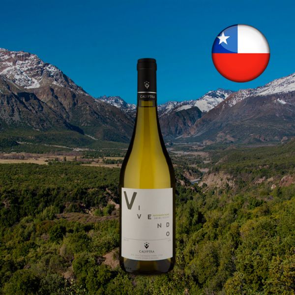 Calyptra Vivendo Reserve Sauvignon Blanc 2018 - Oferta