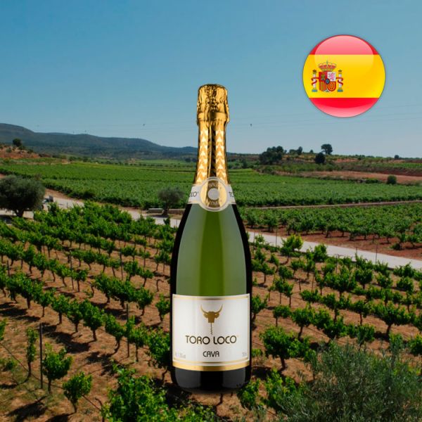 Espumante Toro Loco D.O. Cava Brut - Oferta