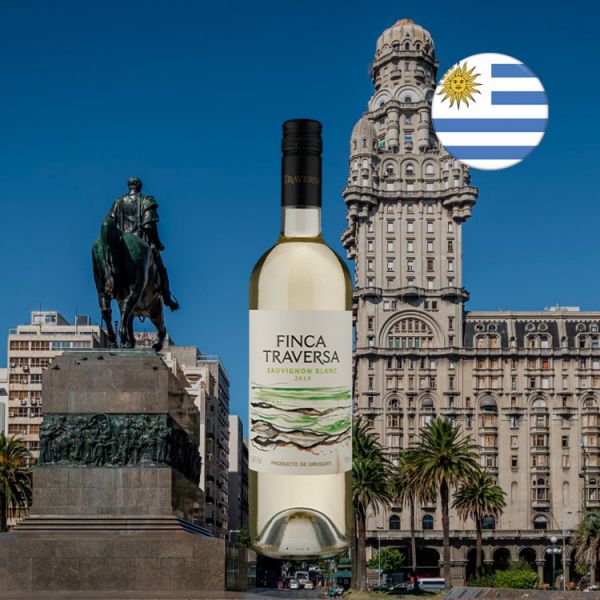 Finca Traversa Sauvignon Blanc 2019 - Oferta