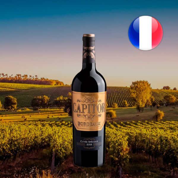 Capitor Bordeaux 2018 - Oferta