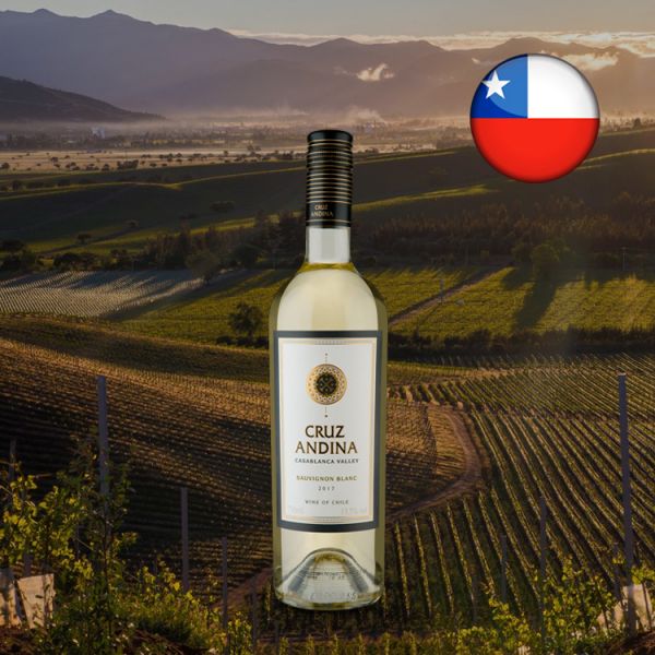 Cruz Andina Reserva D.O. Casablanca Valley Sauvignon Blanc 2017 - Oferta