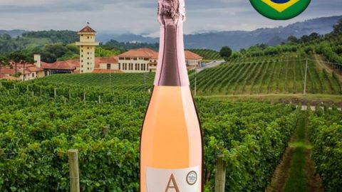 Miolo Alísios Brut Rosé - Oferta