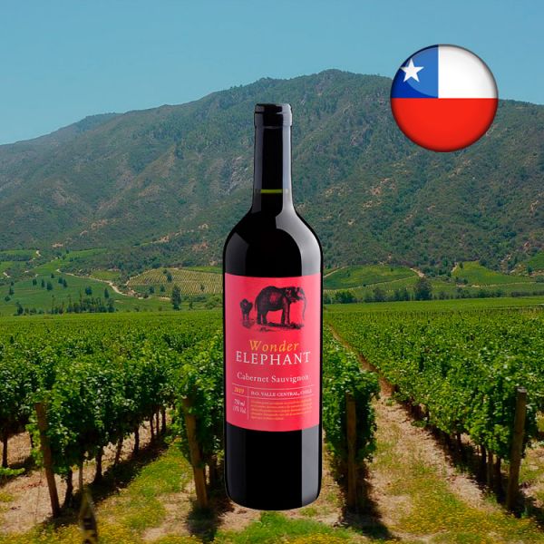 Wonder Elephant Cabernet Sauvignon Valle Central D.O. 2019 - Oferta