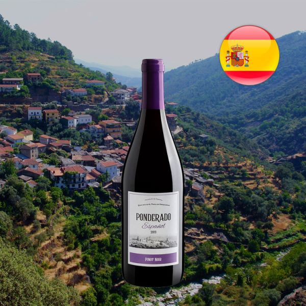 Ponderado Pinot Noir 2019 - Oferta