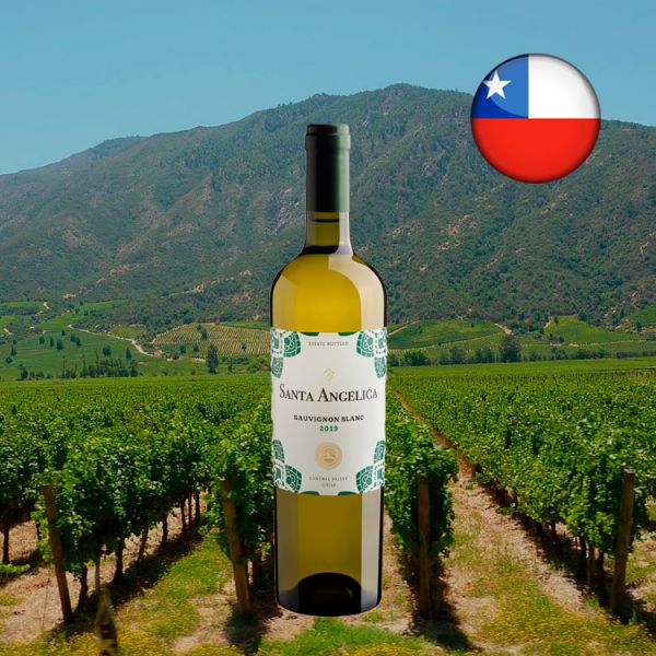 Santa Angelica Sauvignon Blanc 2019 - Oferta