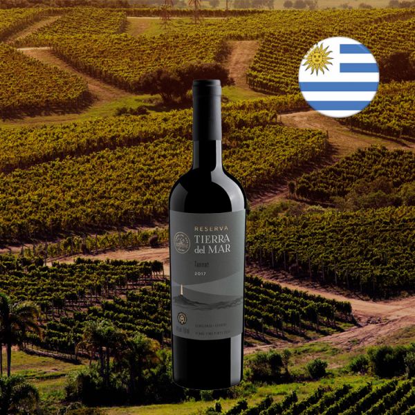 Tierra del Mar Reserva Tannat 2017 - Oferta