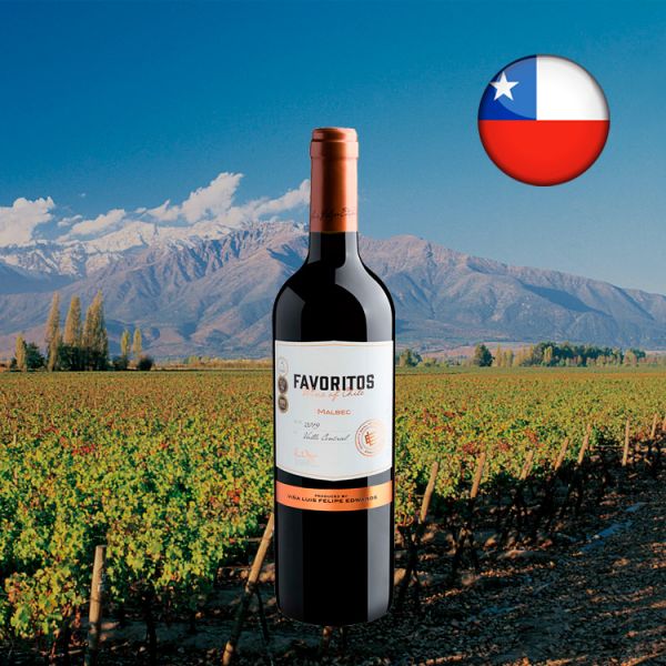 Favoritos Malbec 2019 - Oferta