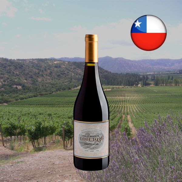 Lote 1936 Pinot Noir Gran Reserva 2018 - Oferta