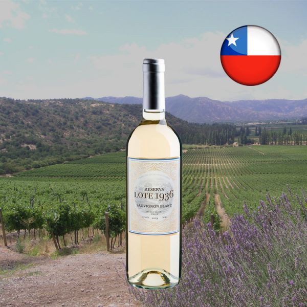 Lote 1936 Sauvignon Blanc Reserva 2019 - Oferta