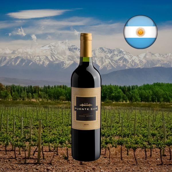 Puente Sur Malbec 2019 - Oferta