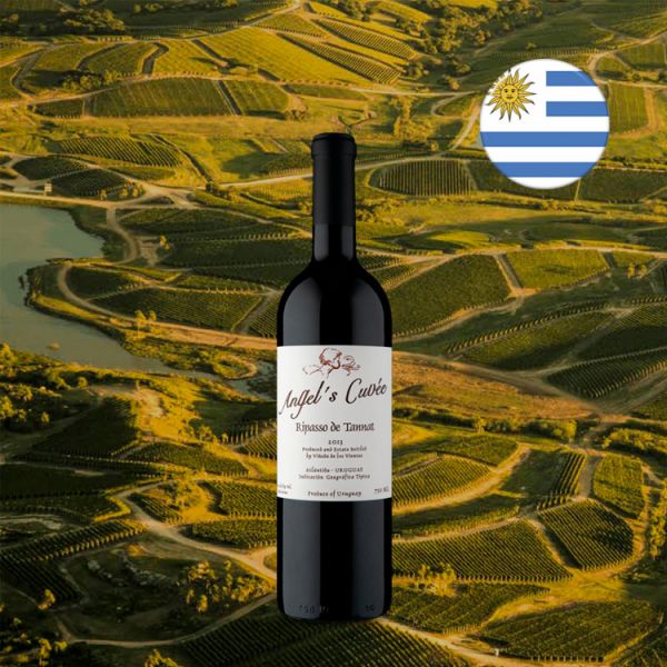 Viñedo de los Vientos Angel's Cuvée Ripasso de Tannat 2013 - Oferta