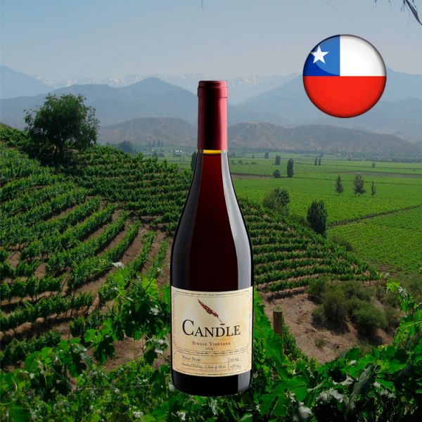 Candle Single Vineyard Pinot Noir 2019 - Oferta