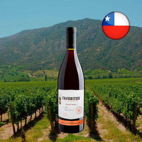 Favoritos Pinot Noir 2019 - Oferta