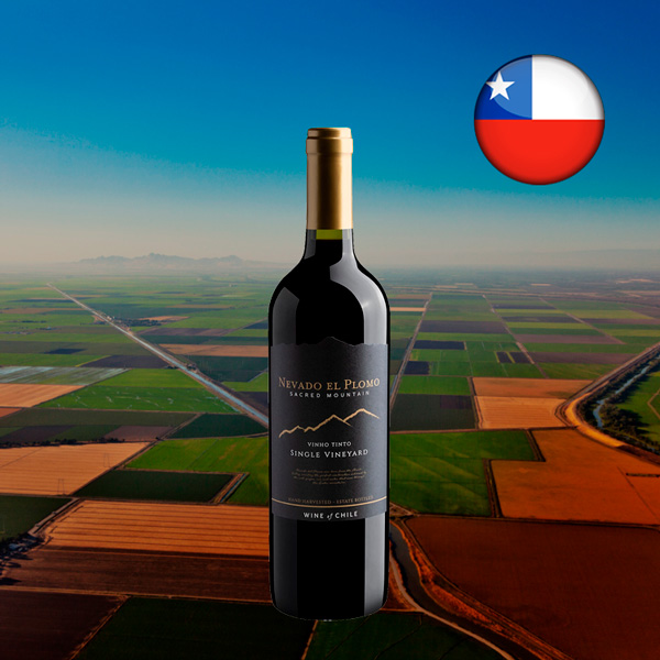 Nevado El Plomo Sacred Moutain Single Vineyard Tinto - Oferta