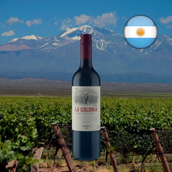 Norton Finca La Colonia Cabernet Sauvignon 2017 - Oferta