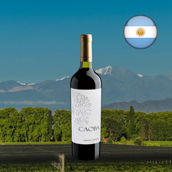 Caoba Malbec 2019 - Oferta