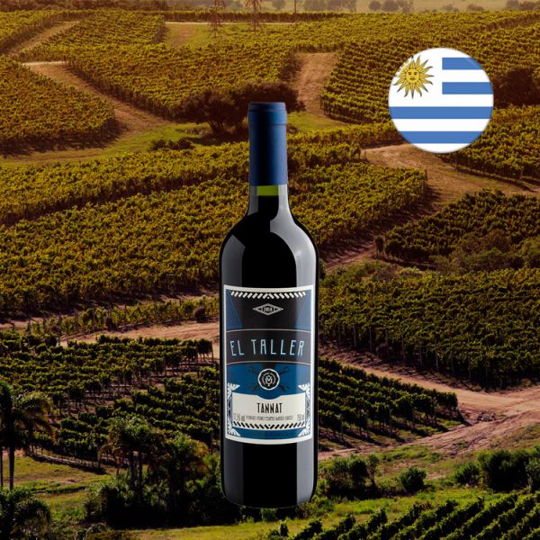 El Taller Tannat - Oferta