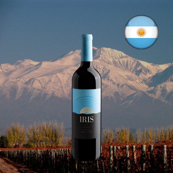 Iris Malbec 2019 - Oferta