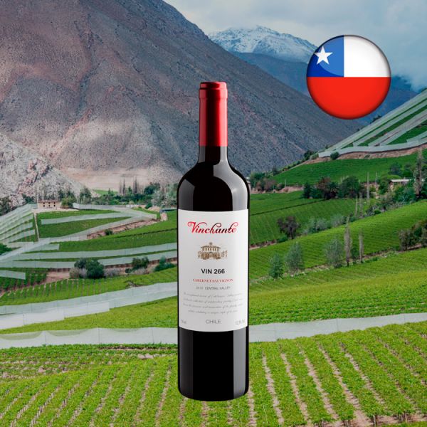 Vinchante Cabernet Sauvignon Central Valley 2018 - Oferta