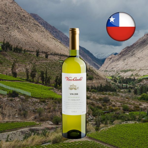Vinchante Sauvignon Blanc Central Valley 2019 - Oferta