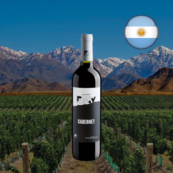 Dilema Day Cabernet Sauvignon - Oferta