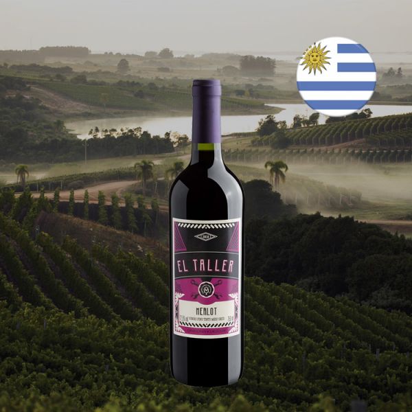 El Taller Merlot - Oferta