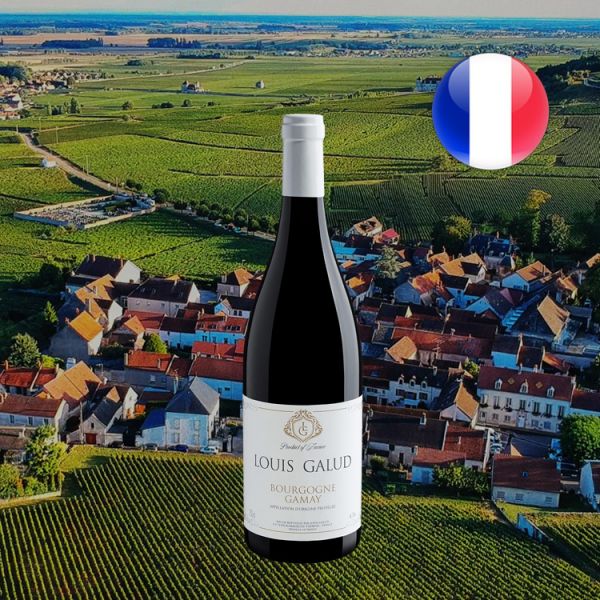 Louis Galud Gamay Bourgogne AOC - Oferta