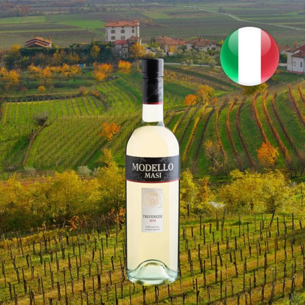 Masi Modello Bianco - Oferta