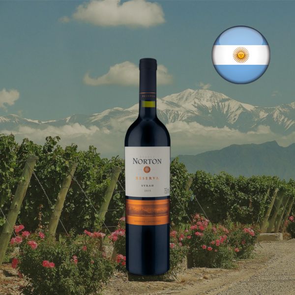 Norton Reserva Syrah 2015 - Oferta