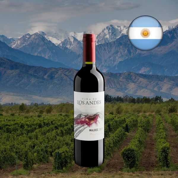 Viña De Los Andes Malbec - Oferta
