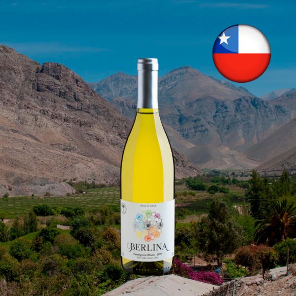 Berlina Sauvignon Blanc Valle Central D.O. 2019 - Oferta