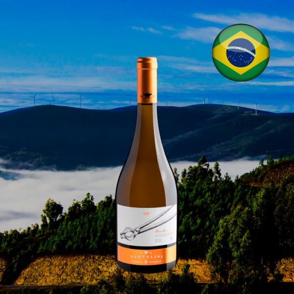 Bertolini Tenaz Chardonnay 2017 - Oferta