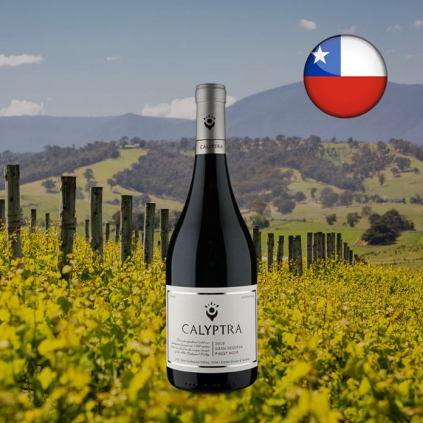 Calyptra Gran Reserva Pinot Noir 2016 - Oferta